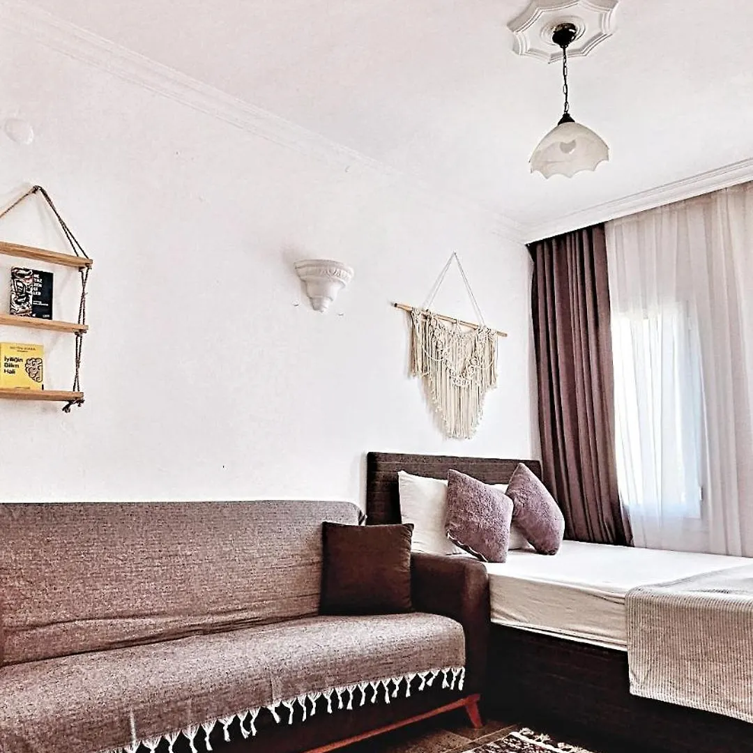 Merkez Kumsal Pansiyon Bodrum 2*,  터키